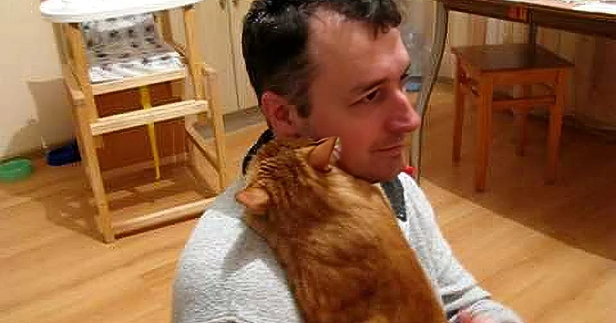 A man with a ginger cat on his shoulder, surrounded by a cozy indoor setting with wooden furniture and a green bowl.
