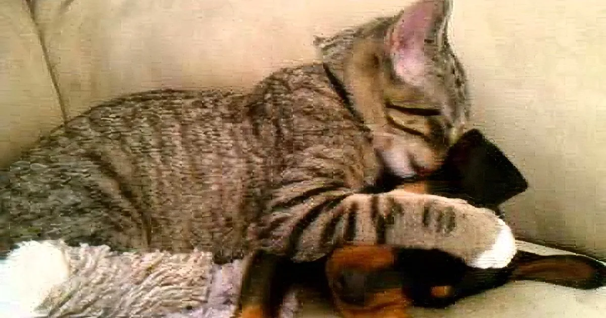 A tabby cat is curled up on a couch, appearing to hug a dog.