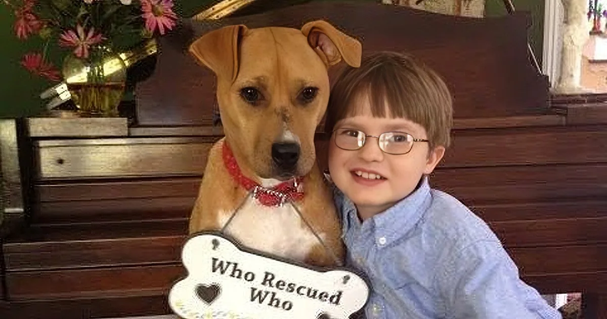 A boy and a dog sit together, the dog wearing a sign that reads "Who Rescued Who."
