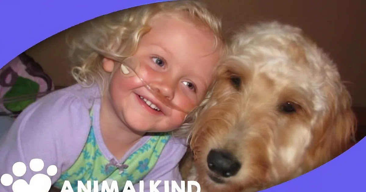 A young girl with curly blonde hair smiles next to a fluffy golden dog.