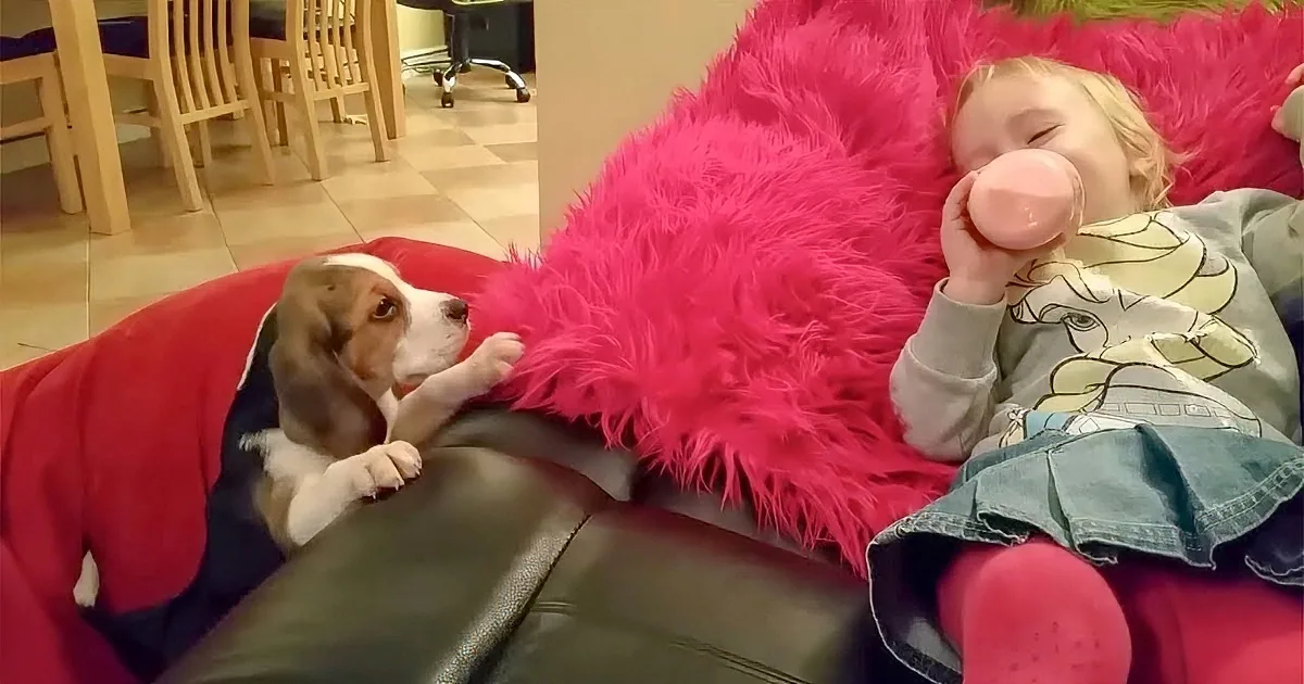 A child in a costume sits on a couch, holding a pink cup, with a puppy lying nearby.