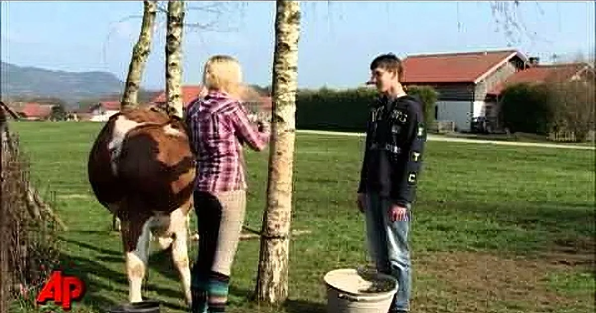 A woman milks a cow while a man stands nearby in a rural setting.