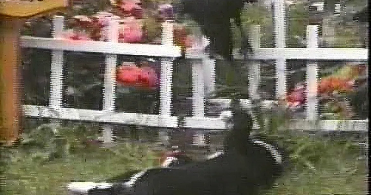 A person in a black outfit is climbing over a white picket fence, with flowers and grass in the foreground.
