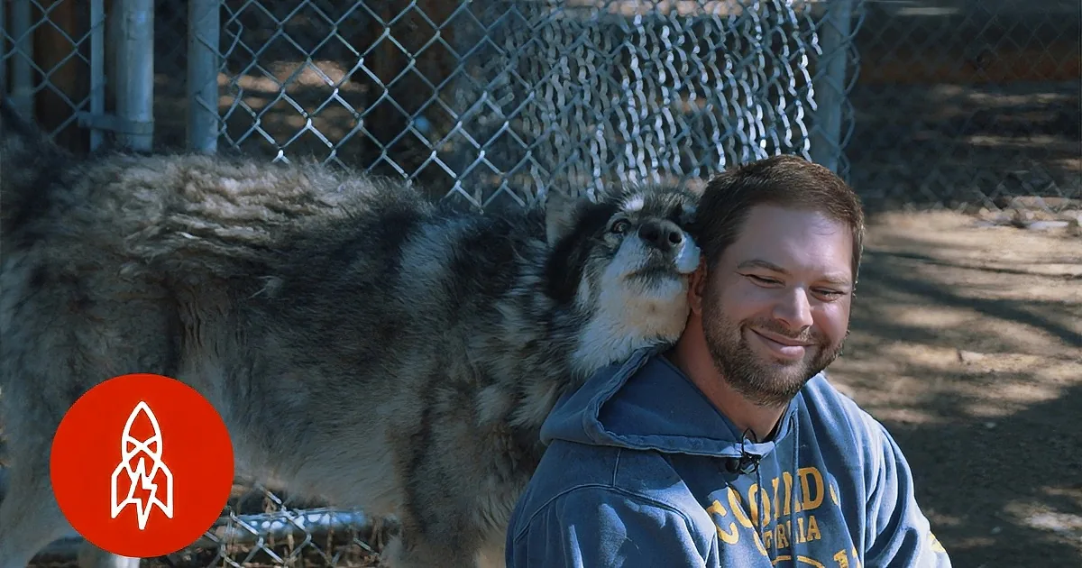 A man in a blue sweatshirt smiles as a large, fluffy dog leans its head on his shoulder.