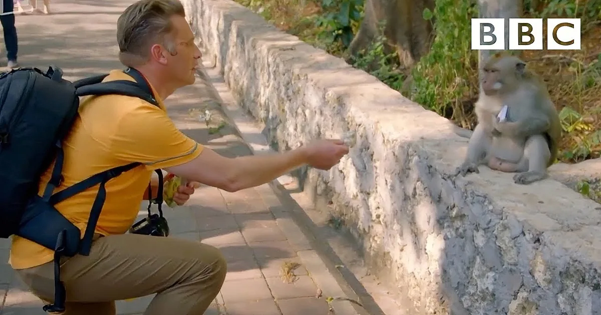These Monkeys Will Steal Your Heart. When You See Their Sneaky New Trick? It''s Incredible!