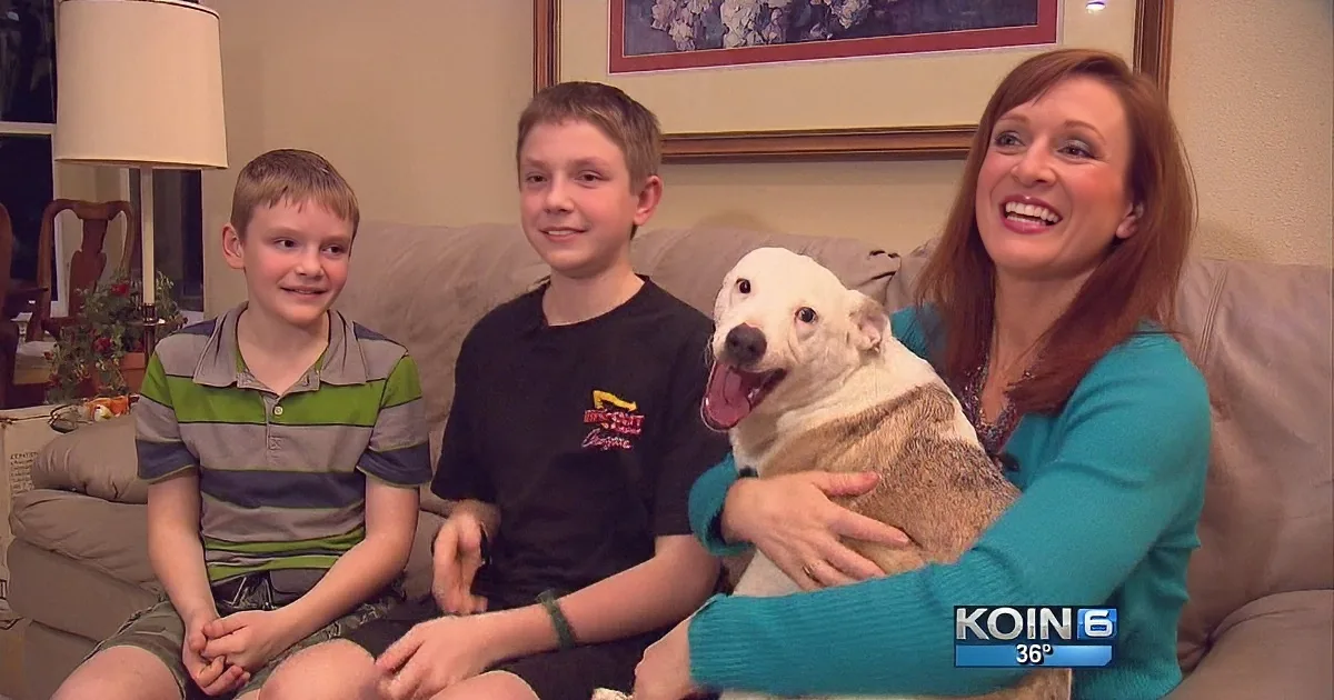 After Their Dog Was Stolen, This Family Was Losing Hope. but Then, Something Miraculous Happened!