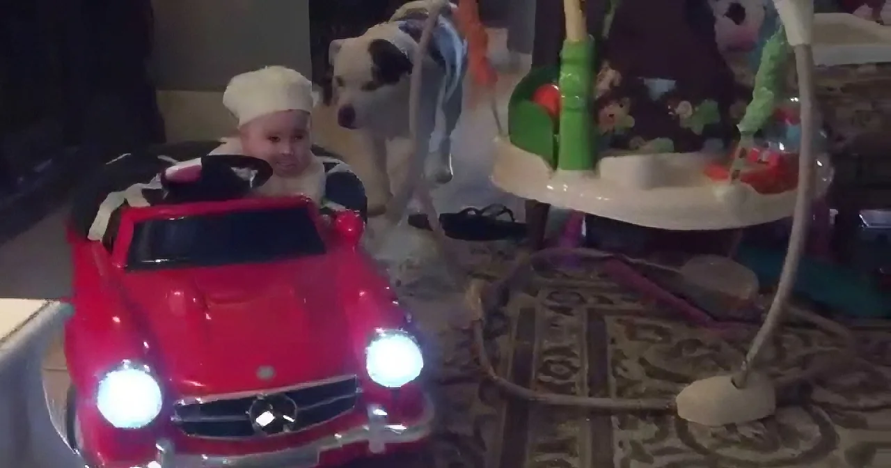 A child in a chef's hat sits in a red toy car with glowing headlights, surrounded by toys and a patterned carpet.