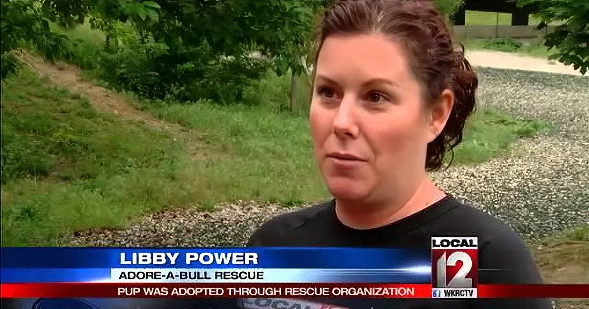 Libby Power, Adore-a-Bull Rescue volunteer, discusses puppy adoption on a news segment.