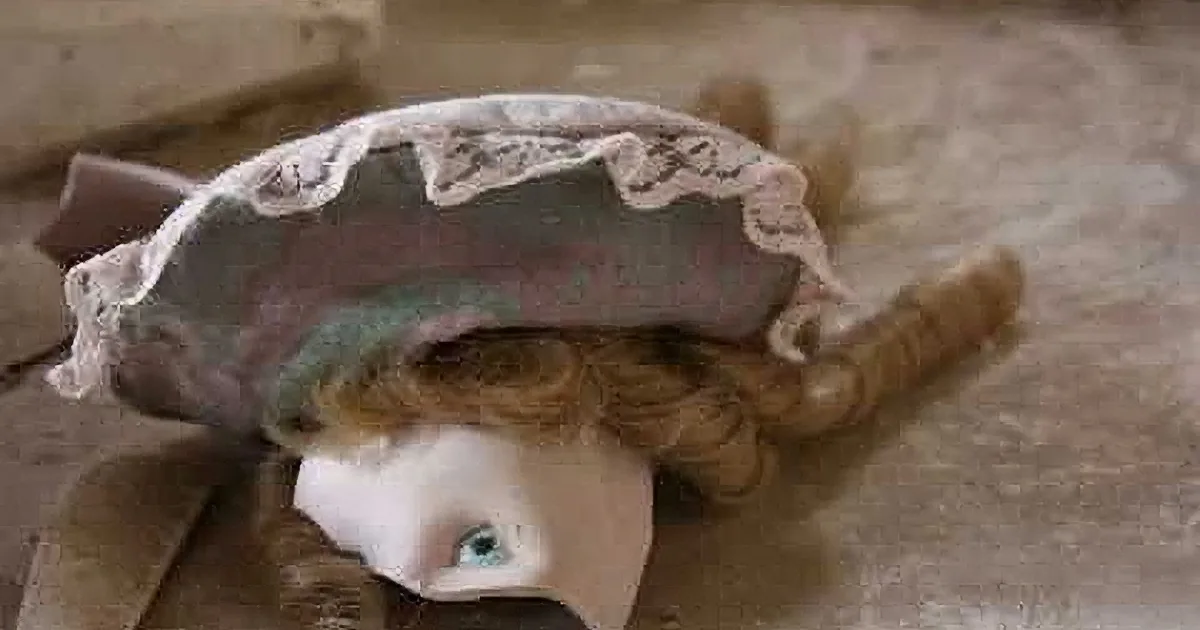 A doll with a missing head lies on a dusty surface, covered by a torn fabric.