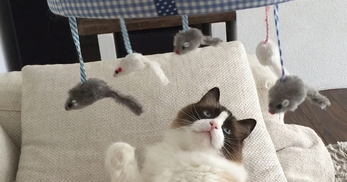 A cat lounges on a cushioned chair, surrounded by hanging plush toys resembling mice.