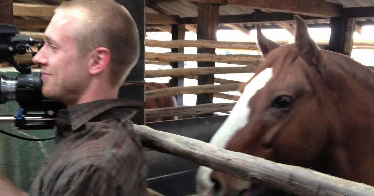 A man with a camera films a brown horse with a white stripe in a wooden stall.
