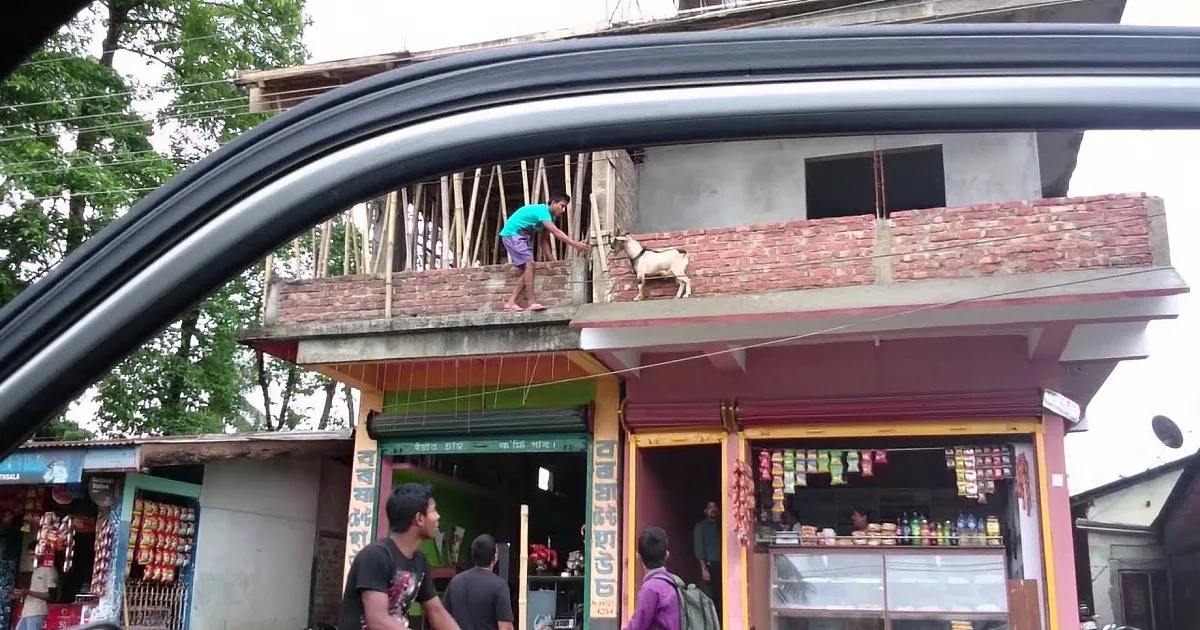 A Young Boy Risked His Life to Save This Goat. You'll Be Shocked by His Bravery!