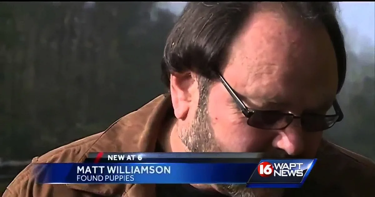 While Looking for His Lost Dog, This Man Found Two Poor Puppies Trapped Inside a Fish Tank! OMG