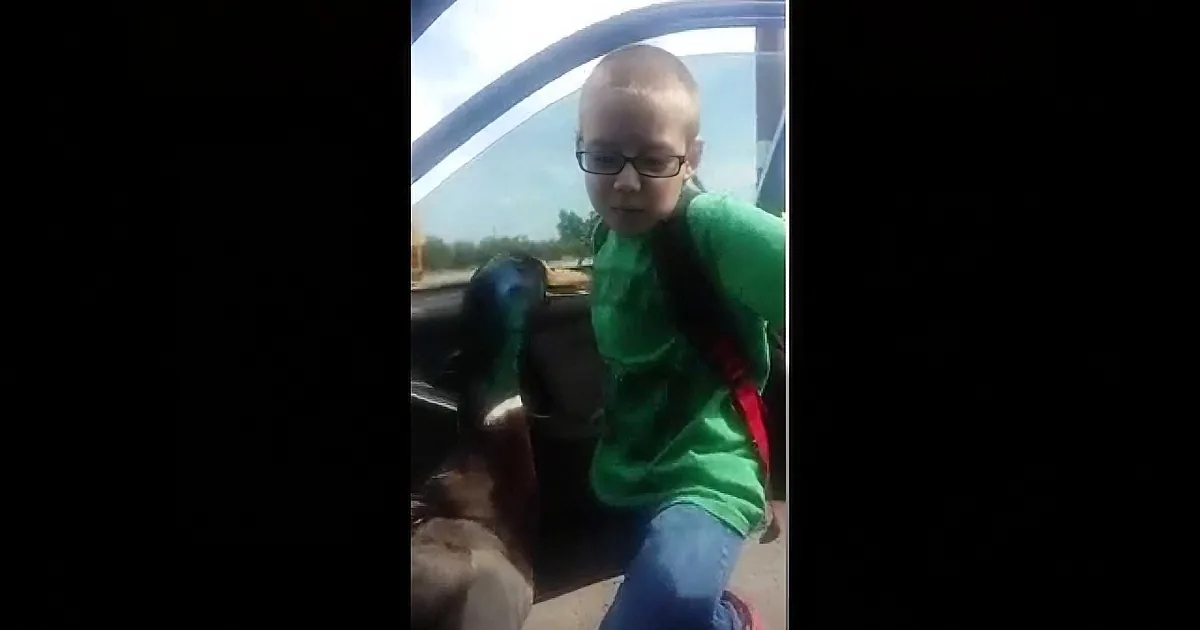 This Pet Duck Greets His Best Human Friend in the Most Adorable Way Possible! I''m Melting!