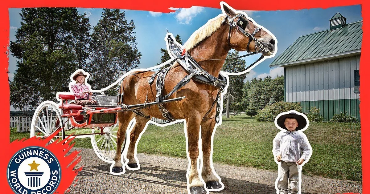 A young boy stands next to a large horse pulling a carriage, with a Guinness World Records logo in the background.