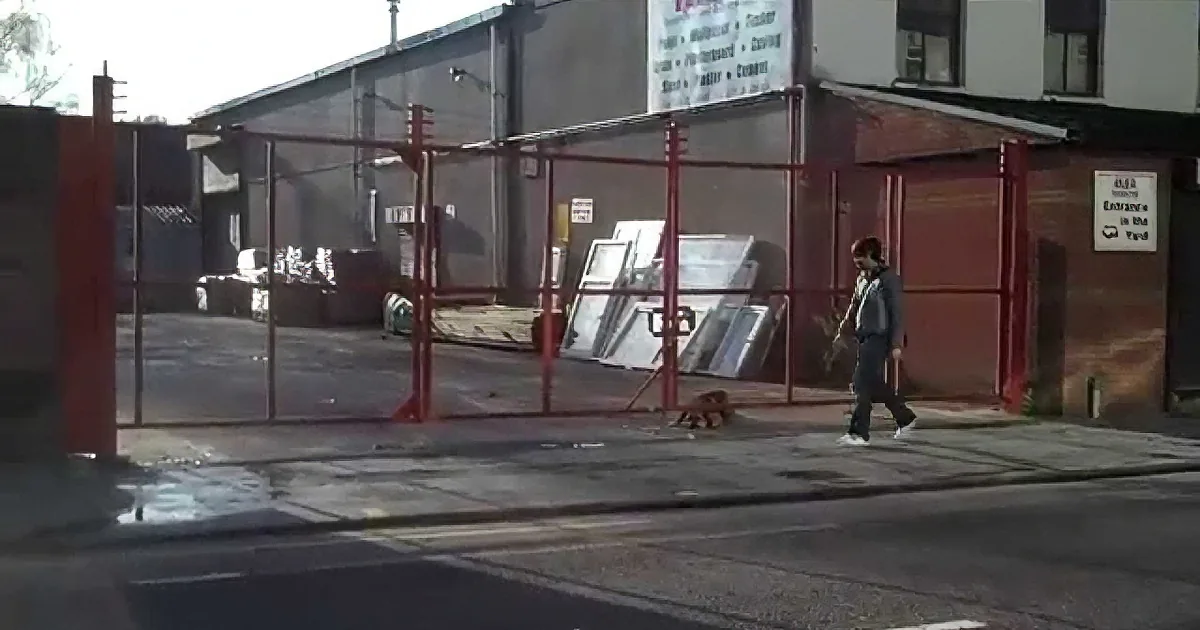 A Lonely Dog Figures out a Brilliant Plan to Play Fetch With Strangers! Wow!