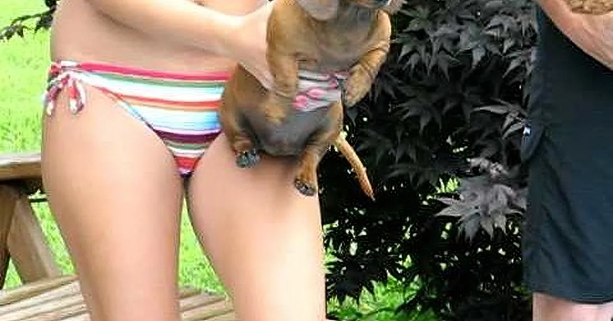 A person in a colorful bikini holds a small dog wearing sunglasses, with greenery in the background.