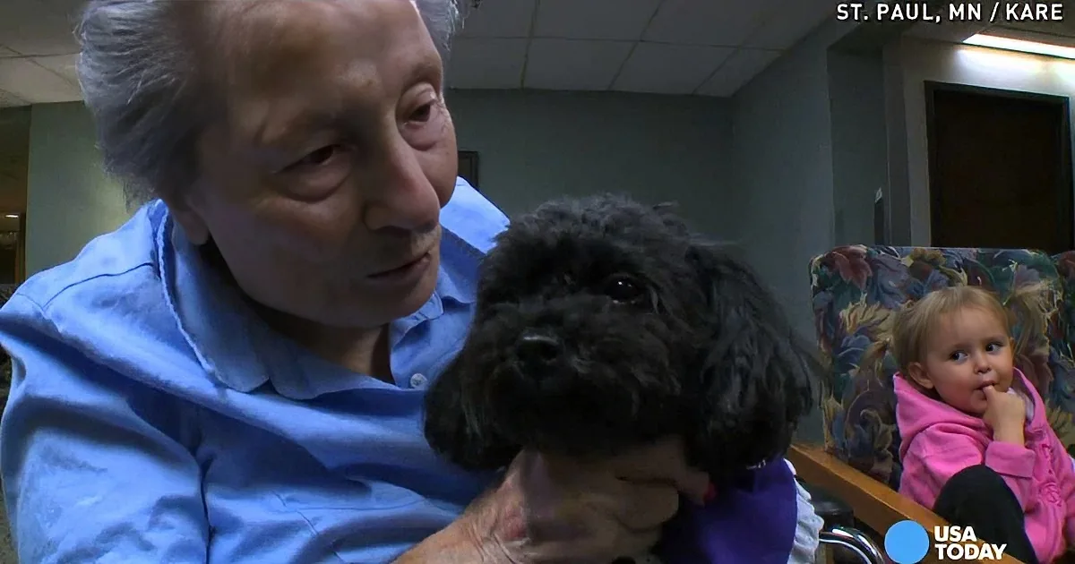 An elderly man holds a small black dog, with a baby in a pink jacket in the background.