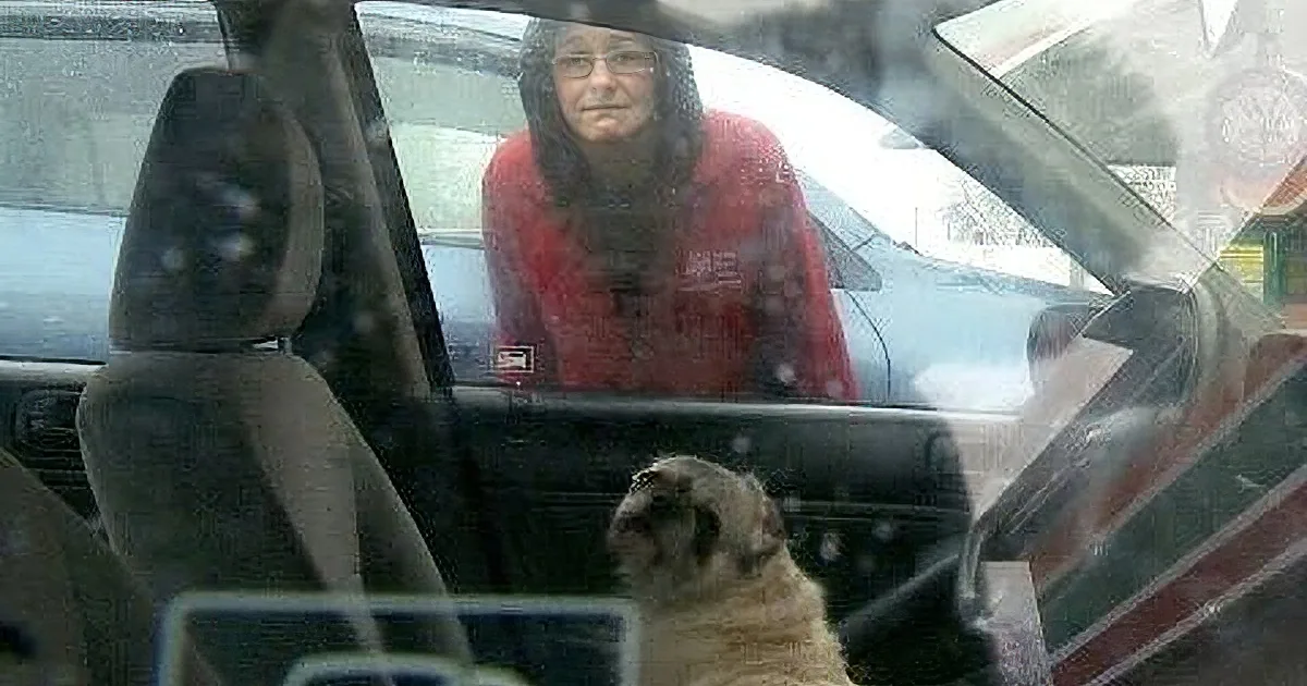 A person in a red shirt sits in a car, with a dog visible through the windshield.