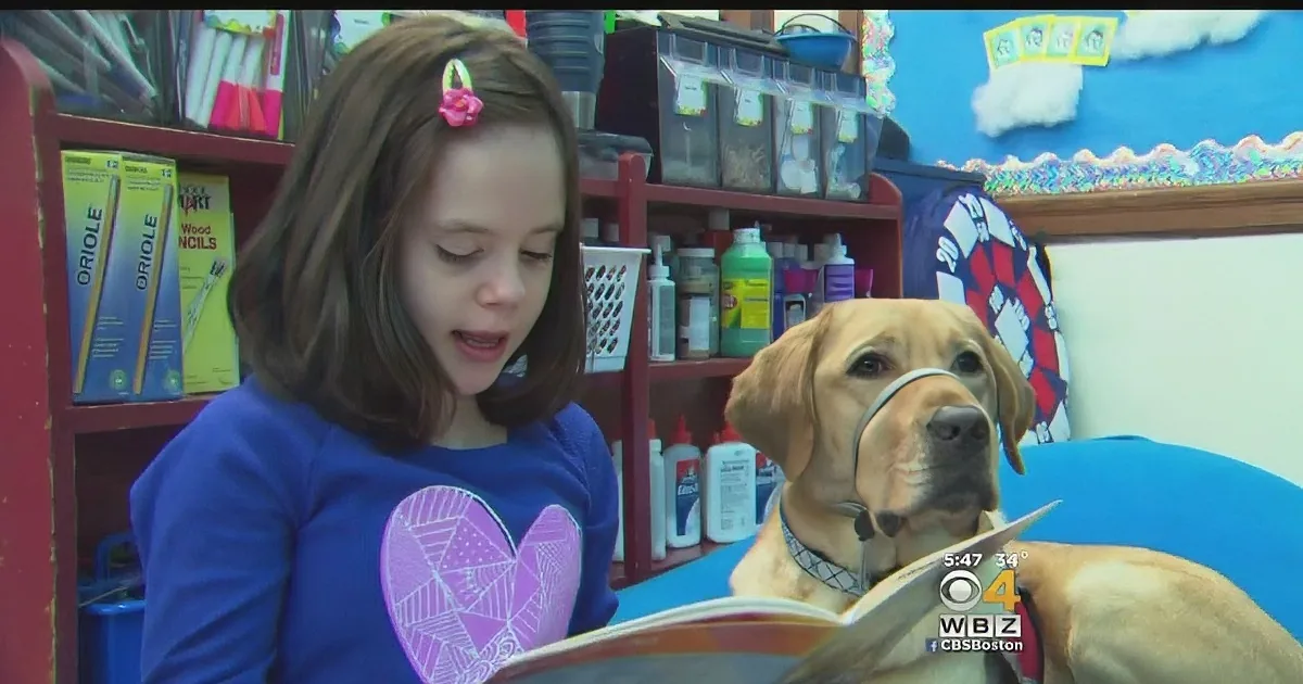 Cute Yellow Labrador Makes All the Difference for the Kids of This Special Ed Class!