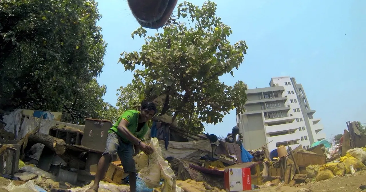 A Stray Dogs Life, Seen From Their Own Point of View. You Can't Miss This!