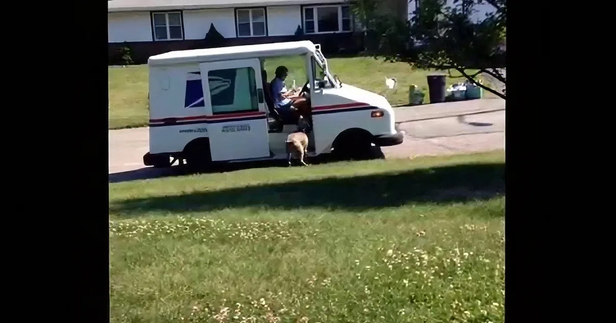 A mail truck with a dog standing on its bumper is parked in a suburban neighborhood.