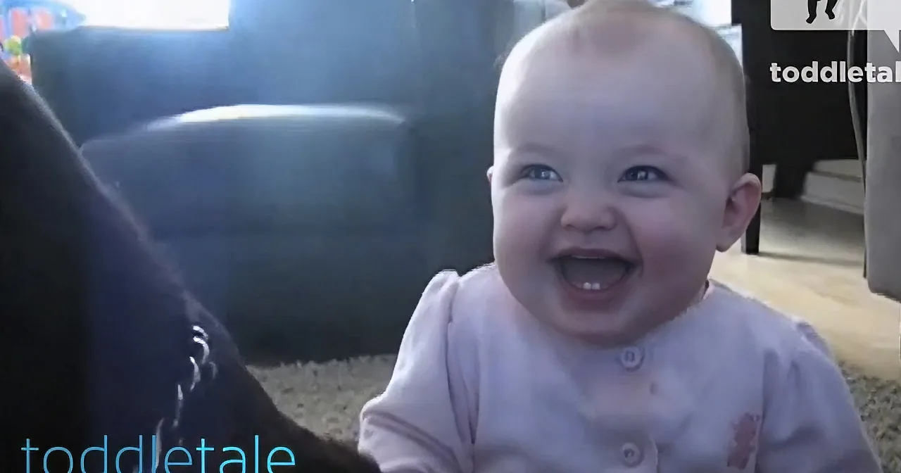 This Adorable Baby Won''t Stop Laughing! Aww I Can''t Believe How Cute It Sounds!