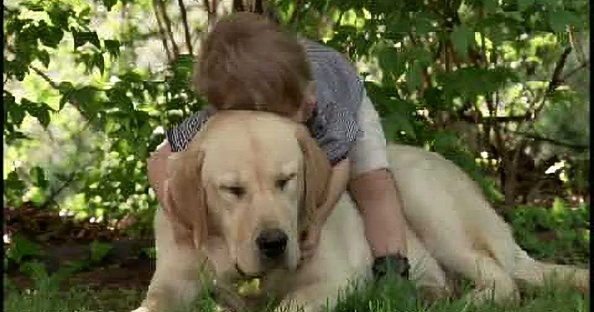 A golden retriever puppy lies on grass, being petted by a person in a striped shirt.