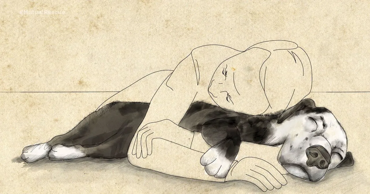 A person and a dog are cuddling and sleeping together, depicted in a cozy, relaxed pose.