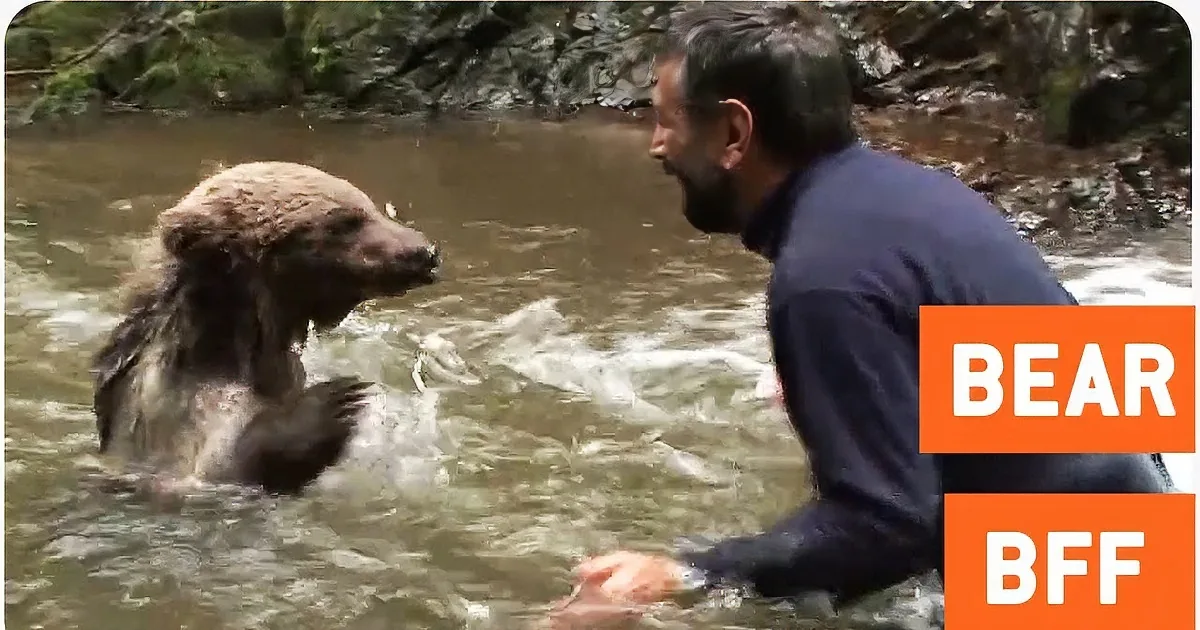 This Man Came Across a Bear in the Wild and Decided to Make Friends With Him! These Two Are Amazing!