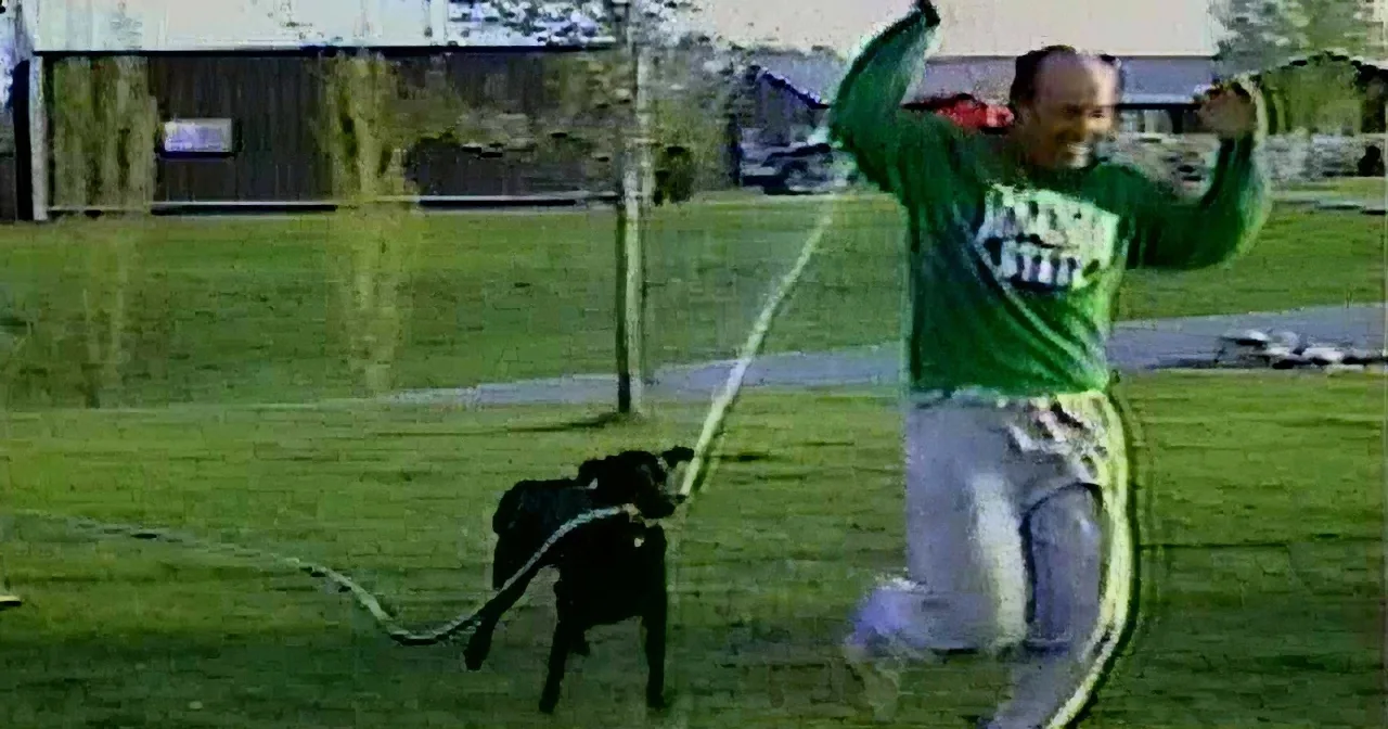 A man in a green shirt and jeans is kneeling, raising his arms, and holding a leash attached to a black dog in a grassy area.
