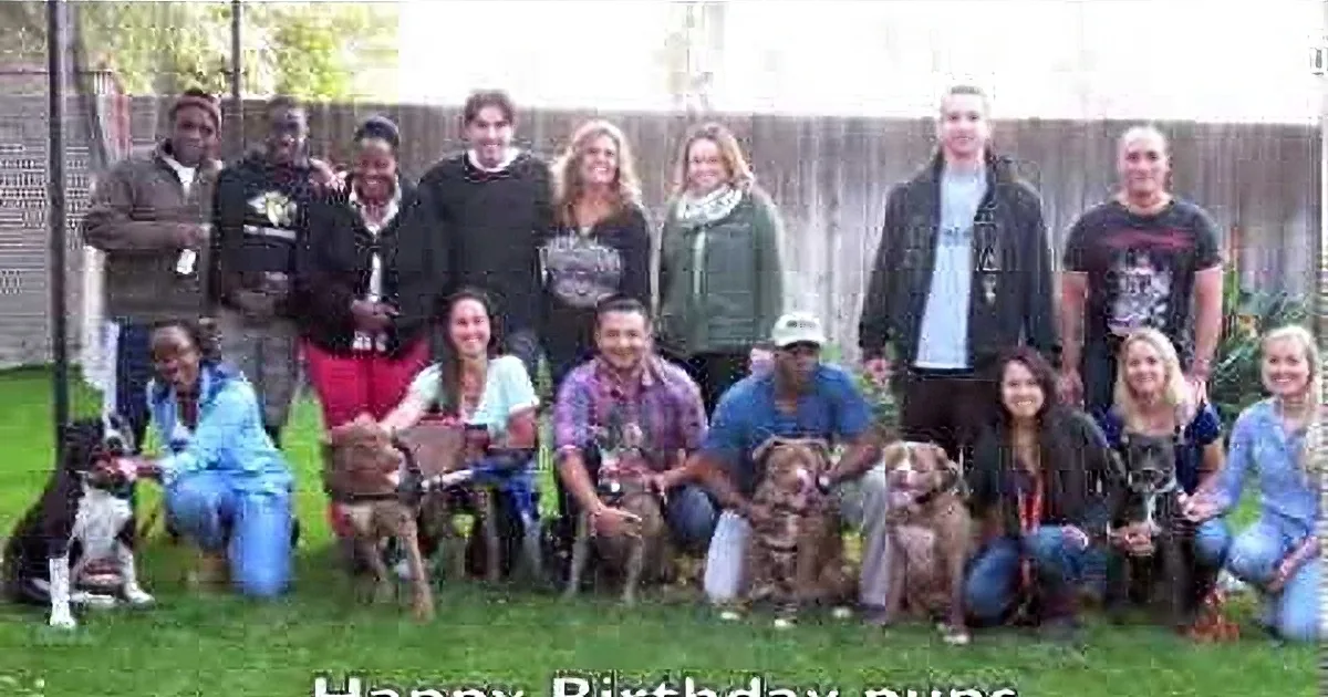 A group of people and dogs celebrate a birthday in a backyard setting.