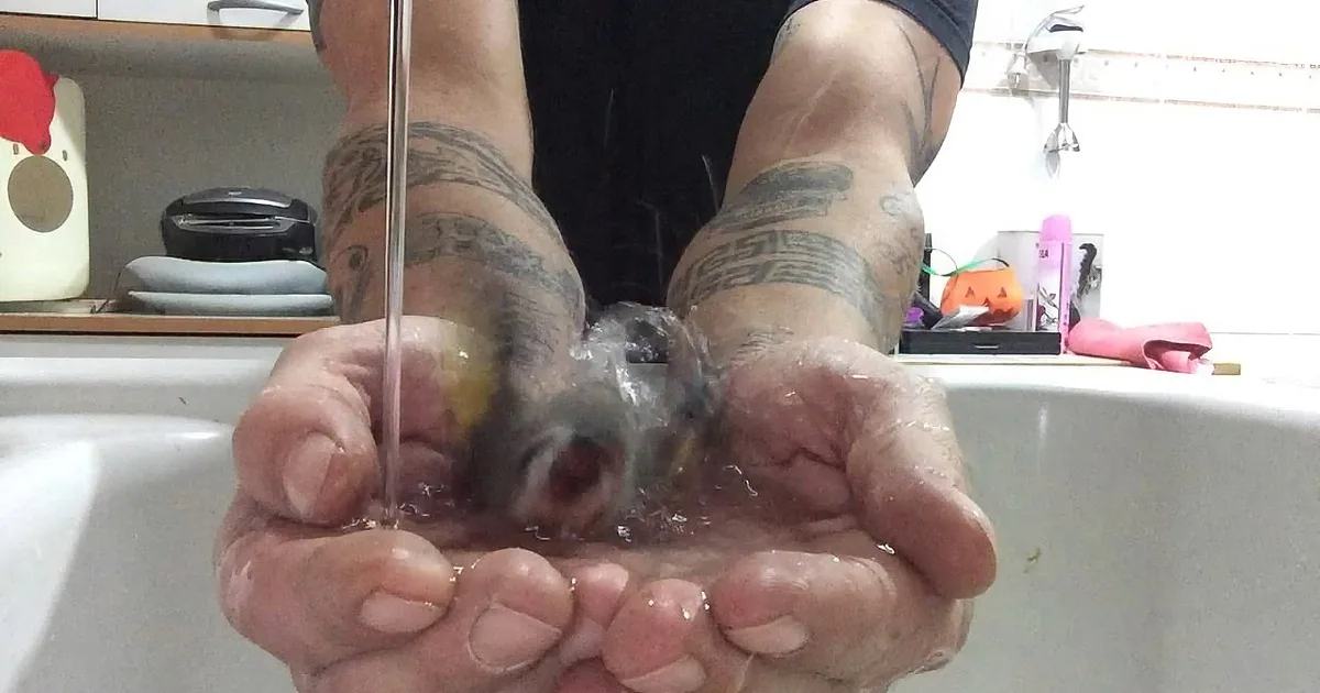 A person with tattooed arms washes their hands under running water in a kitchen sink.
