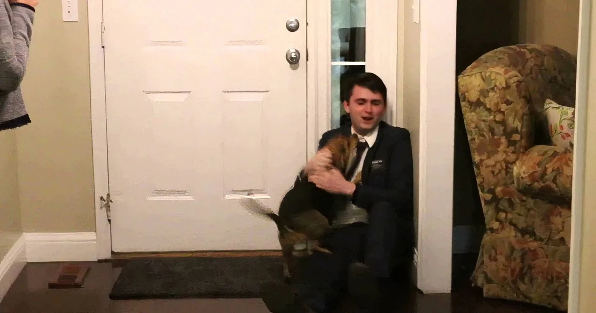 A man in a suit sits on a step, holding a cat, with a door and floral chair in the background.