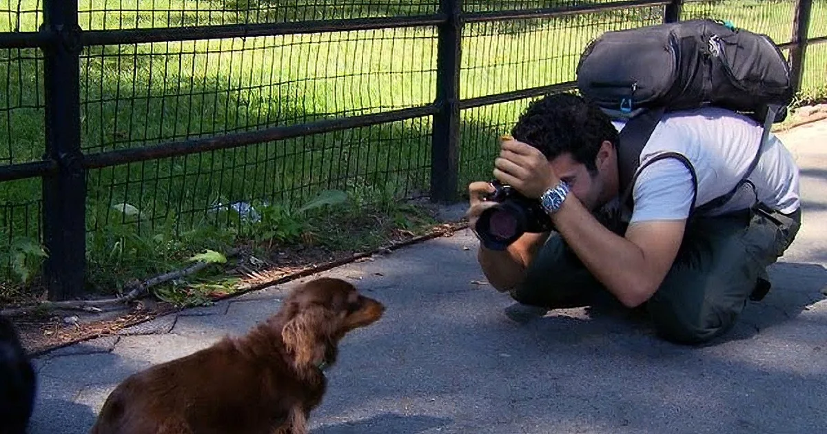 A photographer crouches to take a picture of a small brown dog in a park.
