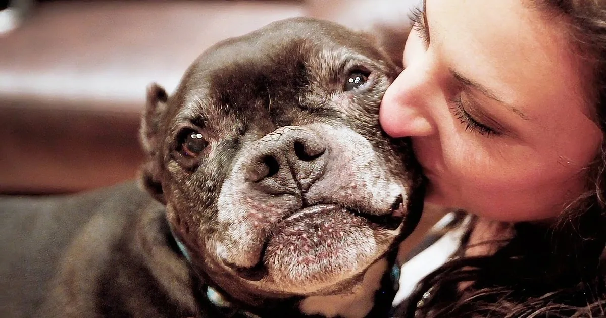 A woman kisses a wrinkled, brown dog with a black nose and white whiskers.