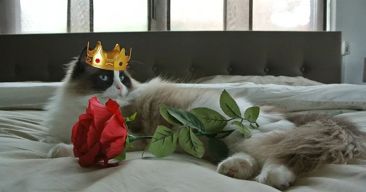 She Left Her Sneaky Cat Alone for a Moment... This Is Hilarious!