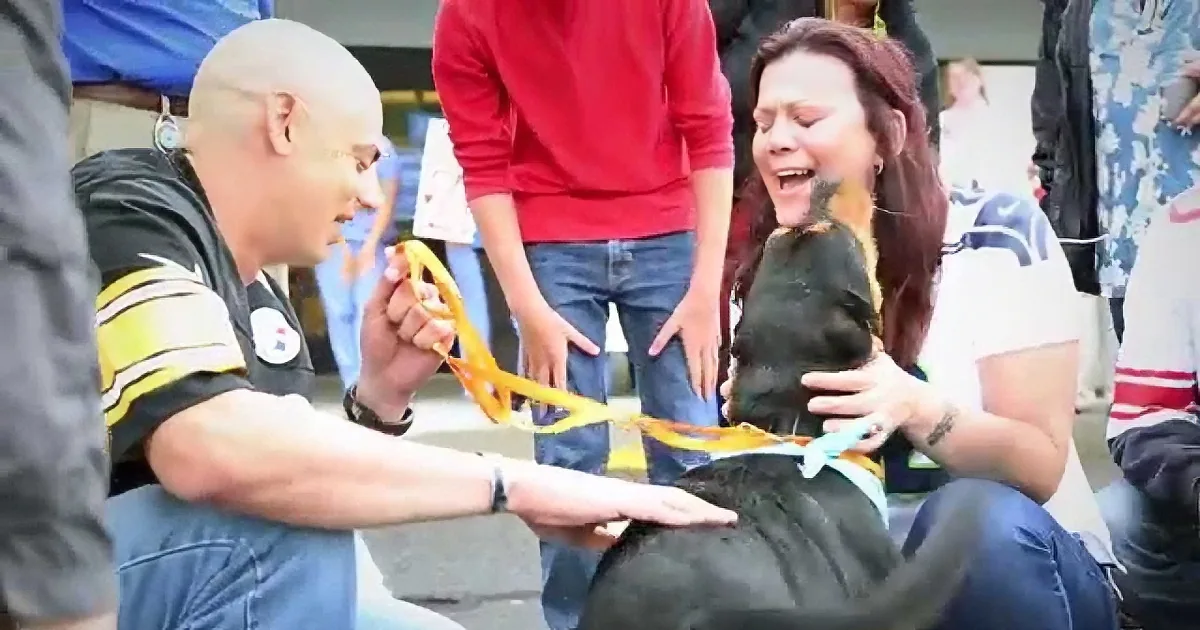 A man and woman are interacting with a bird, with the man holding a banana peel and the woman holding the bird.