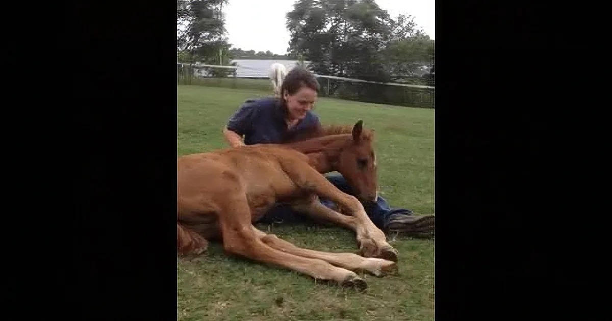 Woman Tells Her Foal to Come Closer. Now Watch What the Baby Horse Did...