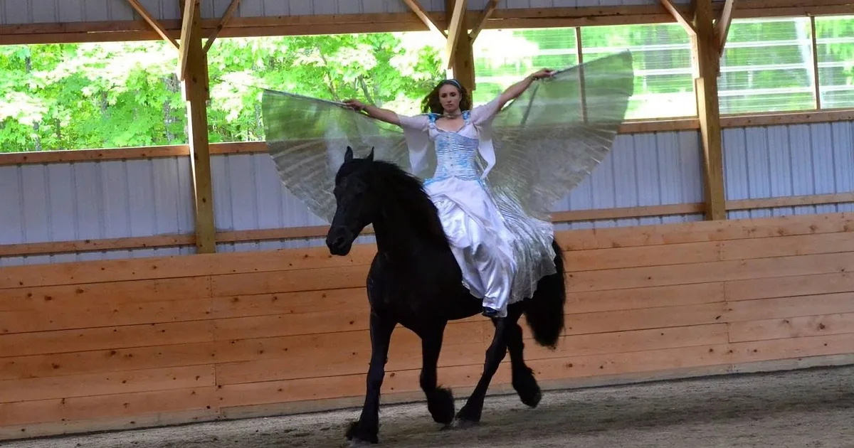 An Angel Spread Her Wings, but When the Horse Did This, I Was in Shock!