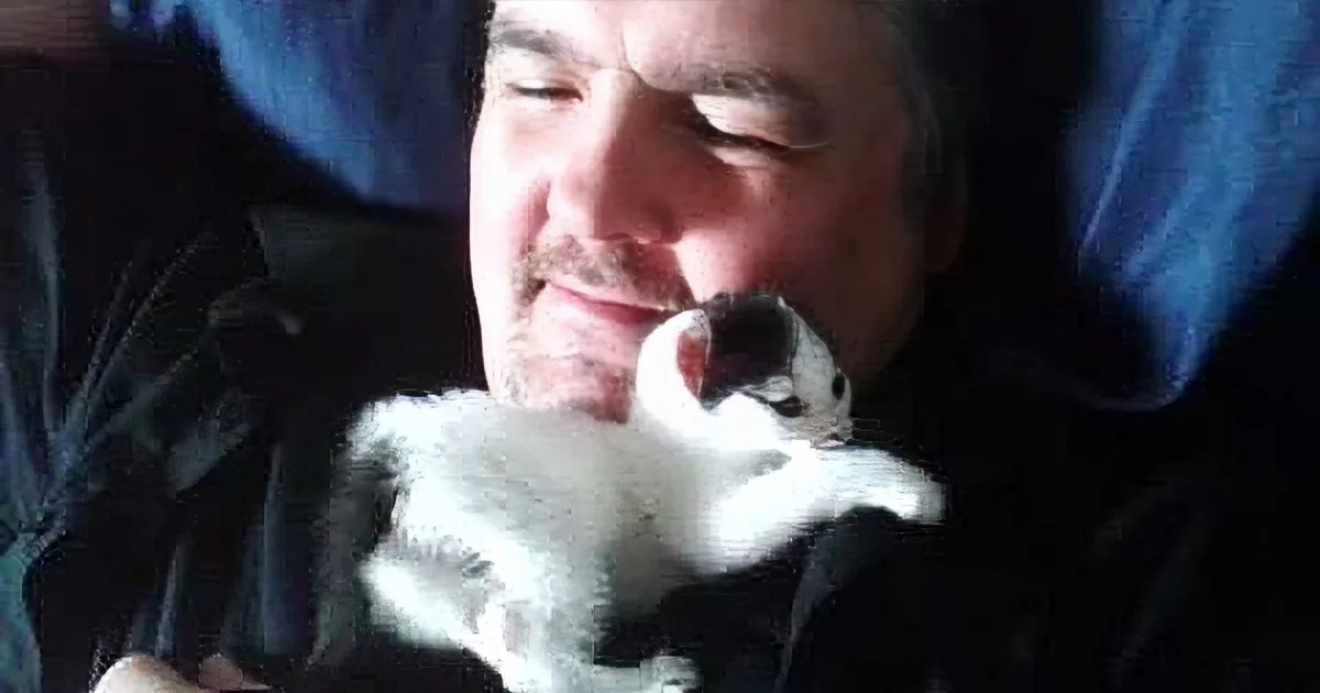 A man is holding a small, fluffy kitten close to his chest, both appearing content.