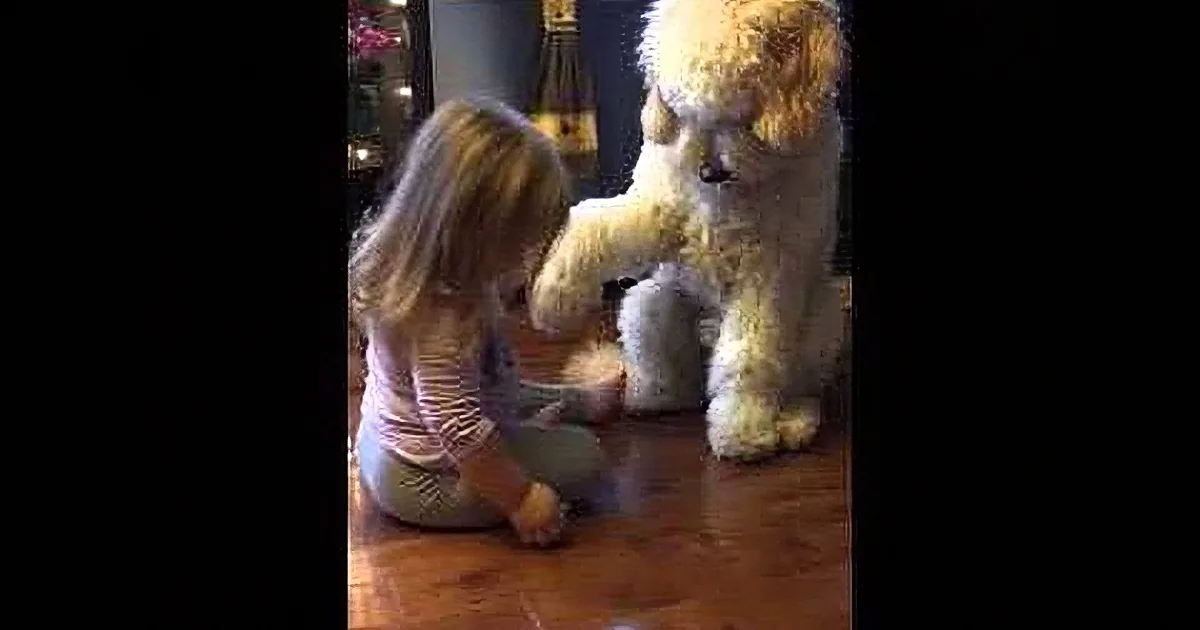 A young girl sits on the floor, interacting with a large, fluffy, white dog.