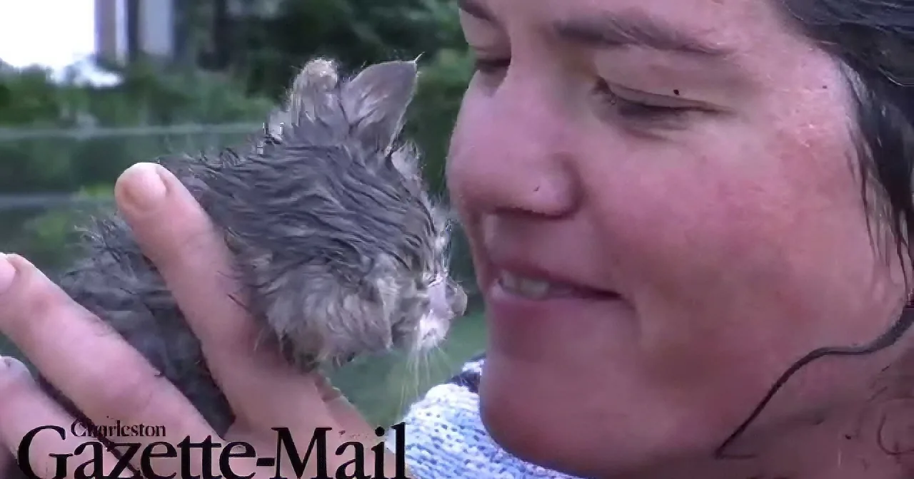 A person holds a small, wet bird close to their face, with a blurred background of greenery.