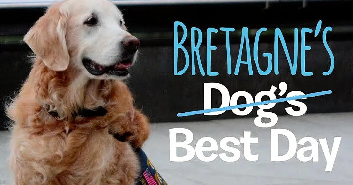 A golden retriever sits on a sidewalk with a harness, text overlaid says "Bretagne's Dog's Best Day."