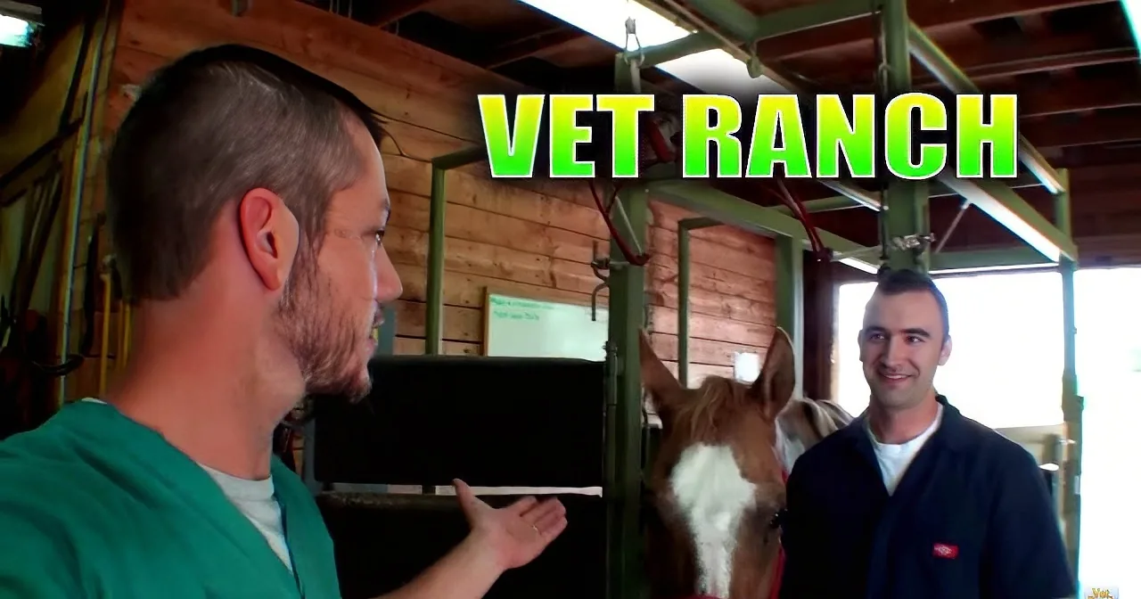 A man in a green shirt gestures while talking to another man in a barn setting.
