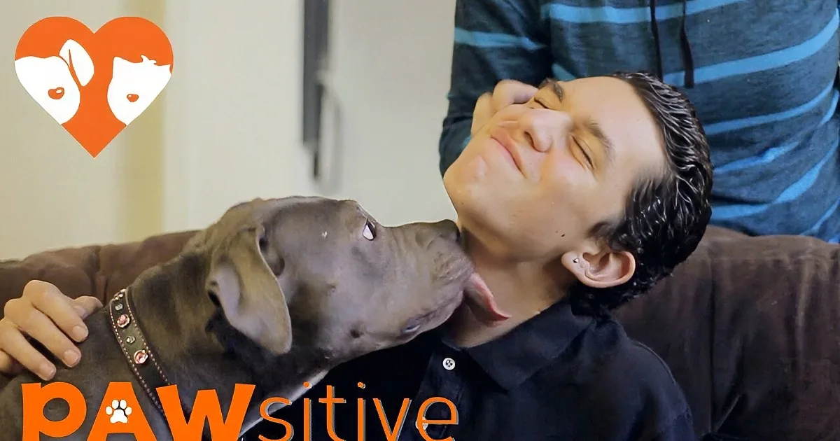 A man is being playfully kissed on the cheek by a large, dark-colored dog with a red collar.