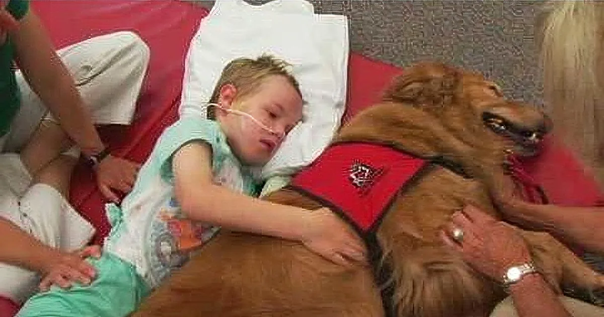 A child in a hospital bed, wearing a hospital gown, is lying down and petting a therapy dog.