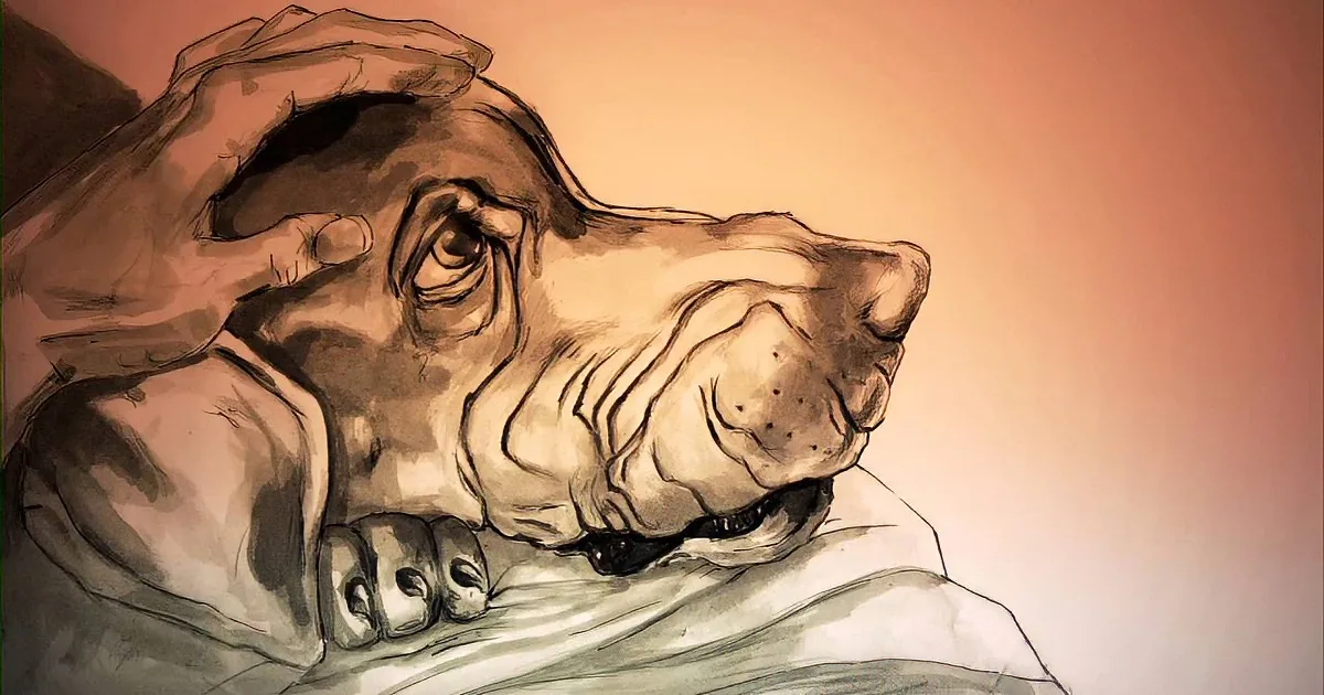 A hand gently holds a sleeping dog's head, capturing a serene moment.