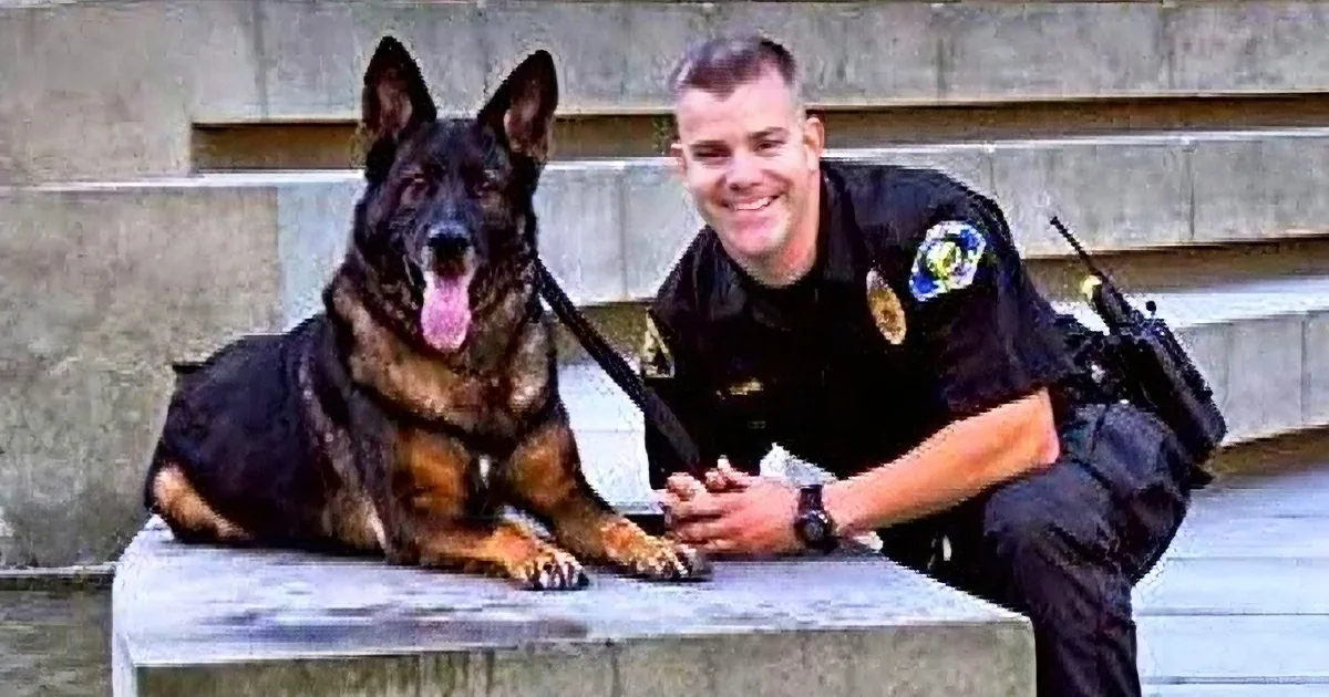 A police officer and a German Shepherd dog are sitting together on a bench.
