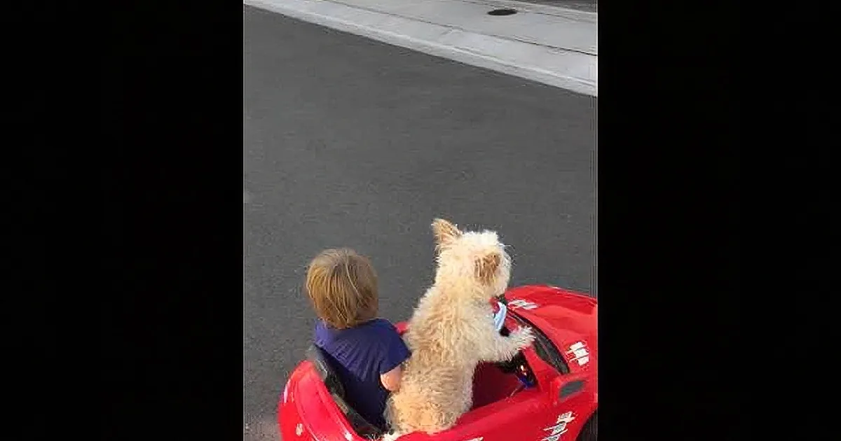A child and a dog sit in a red toy car on a paved surface, looking ahead.